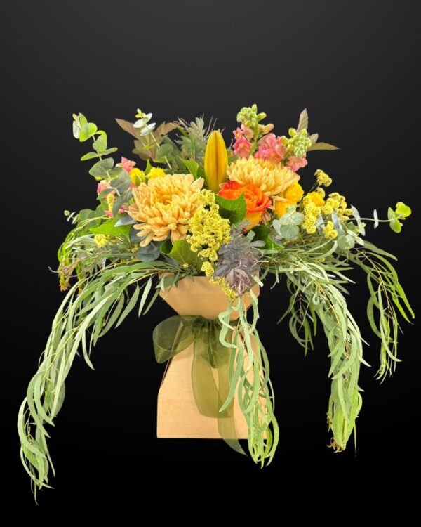 bright hot colours in waterbox $79.99